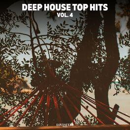 Album cover of Deep House Top Hits Vol. 4