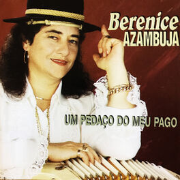 Album cover of Um Pedaço do Meu Pago