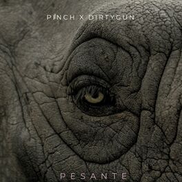 Album cover of Pesante (feat. Pinch)