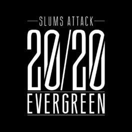 Album cover of 20/20 Evergreen