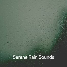 Album cover of Serene Rain Sounds