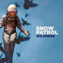 Album cover of Wildness