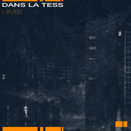 Album cover of Dans la tess