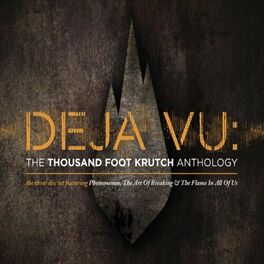 Album cover of Deja Vu: The TFK Anthology