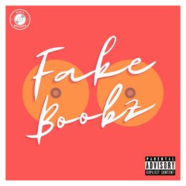 Album cover of Fake Boobz (feat. Raffi)