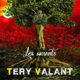 Album cover of Les amants