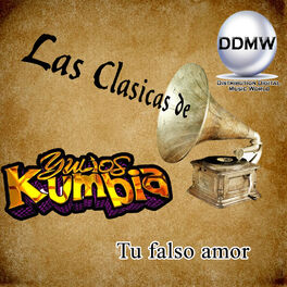 Album cover of Tu Falso Amor