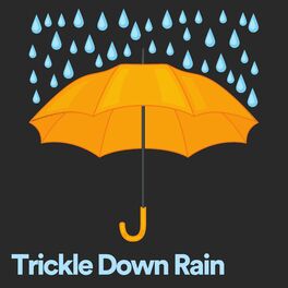 Album cover of Trickle Down Rain