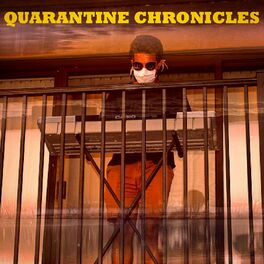 Album cover of Quarantine Chronicles