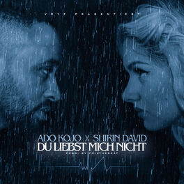 Album cover of Du liebst mich nicht