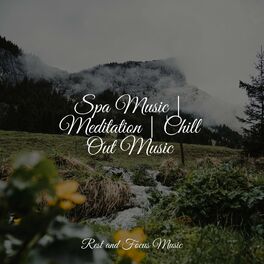Album cover of Spa Music | Meditation | Chill Out Music