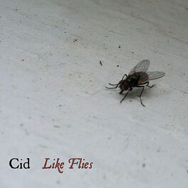Album cover of Like Flies