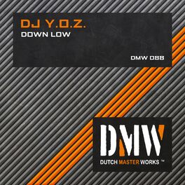 Album cover of Down Low