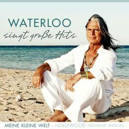 Album cover of Waterloo singt große Hits