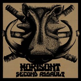 Album cover of Second Assault