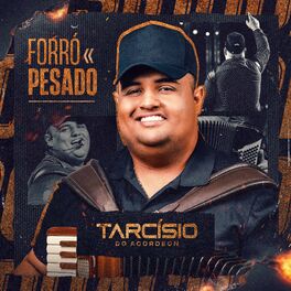 Album cover of Forró Pesado