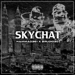 Album cover of Skychat