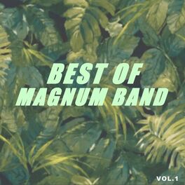 Album cover of Best of magnum band (Vol.1)