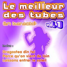 SBI Audio Karaoke Le Chasseur Karaoke Version coute avec