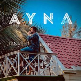 Album cover of Ayna