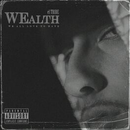 Album cover of Wealth: We All Love to Hate