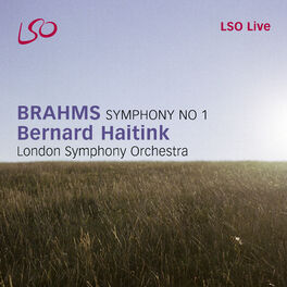 Album cover of Brahms: Symphony No. 1, Tragic Overture