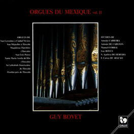 Album cover of Orgues du Mexique, Vol. 2
