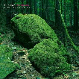 Album cover of Thomas Dybdahl & In The Country