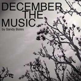 Album cover of December the Music