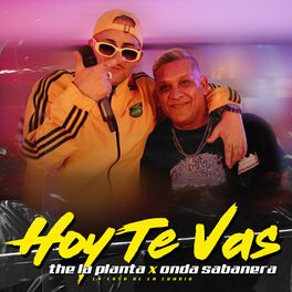 Album cover of Hoy Te Vas