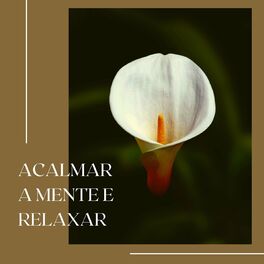 Album cover of Acalmar a Mente e Relaxar: Música de Meditação para Ansiedade e Dormir