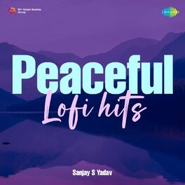 Album cover of Peaceful Lofi Hits