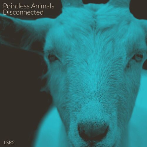  Pointless Animals - Disconnected (2023) 