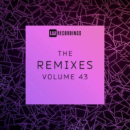 Album cover of The Remixes, Vol. 43