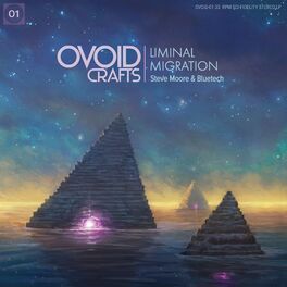Album cover of Liminal Migration
