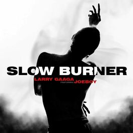 Album cover of Slow Burner