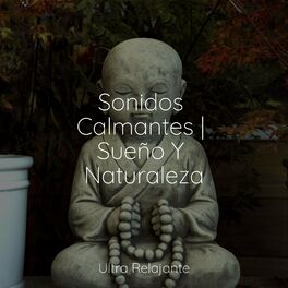Album cover of Sonidos Calmantes | Sueño Y Naturaleza