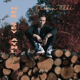 Album cover of Herşey Aynı
