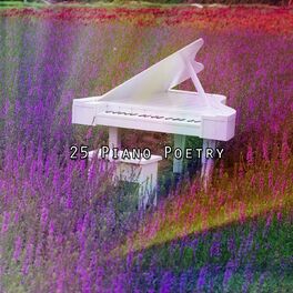 Album cover of 25 Piano Poetry
