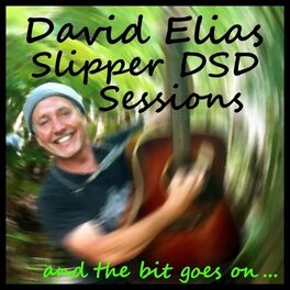 Album cover of Slipper DSD Sessions: And The Bit Goes On