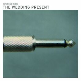 Album cover of Shepherd's Bush Welcomes The Wedding Present