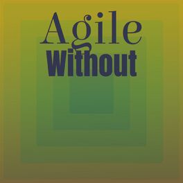 Album cover of Agile Without