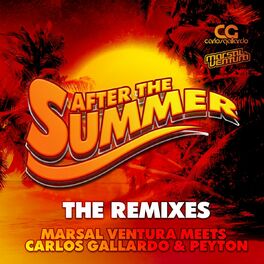 Album cover of After the Summer