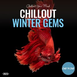 Album cover of Chillout Winter Gems 2023: Chillout Your Mind