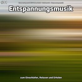 Album cover of #01 Entspannungsmusik zum Einschlafen, Relaxen und Erholen