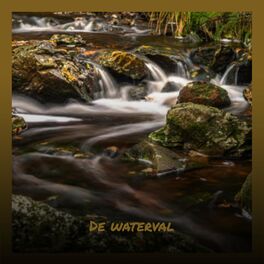 Album cover of De waterval
