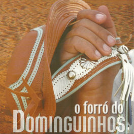 Album cover of O Forró do Dominguinhos