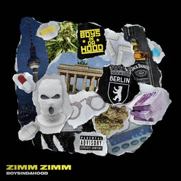 Album cover of Zimm Zimm