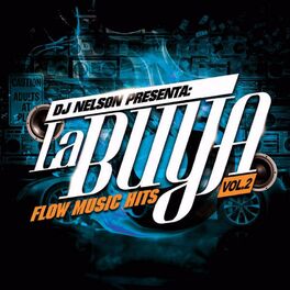 Album cover of Dj Nelson Presenta: La Buya Vol. 2
