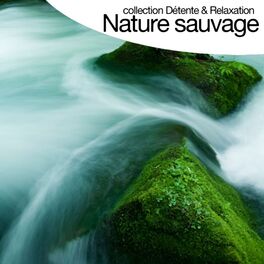 Album cover of Nature sauvage - Sounds of Nature (Collection détente et relaxation)